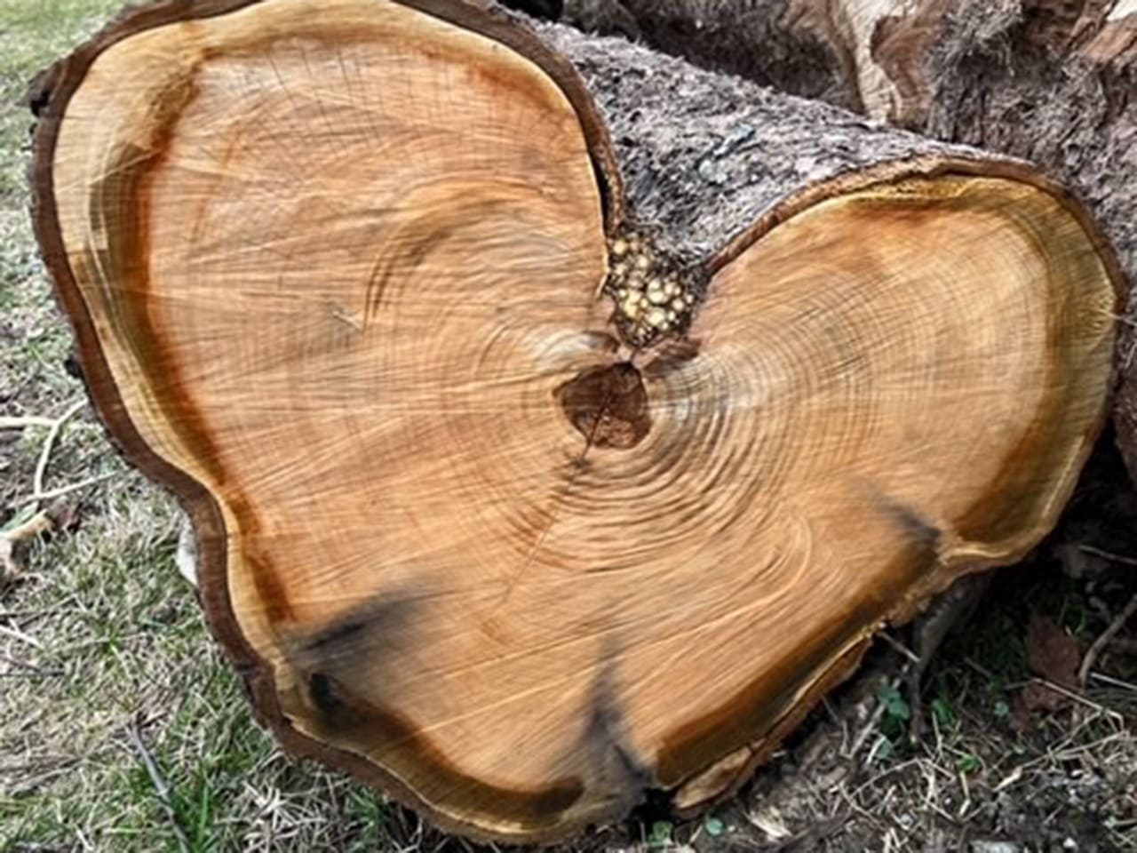 Holzscheibe Herz mit Lasergravur